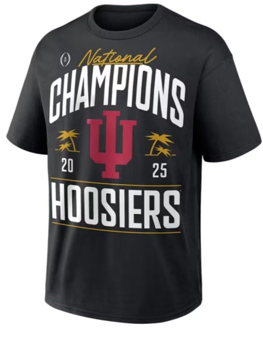 INDIANA HOOSIERS 2025 Champions Authentic Locker Room T-Shirt Men Size M Nike